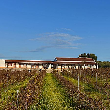 Gasthaus Turismo Rural Pedremoura Vila Ruiva  Exterior foto